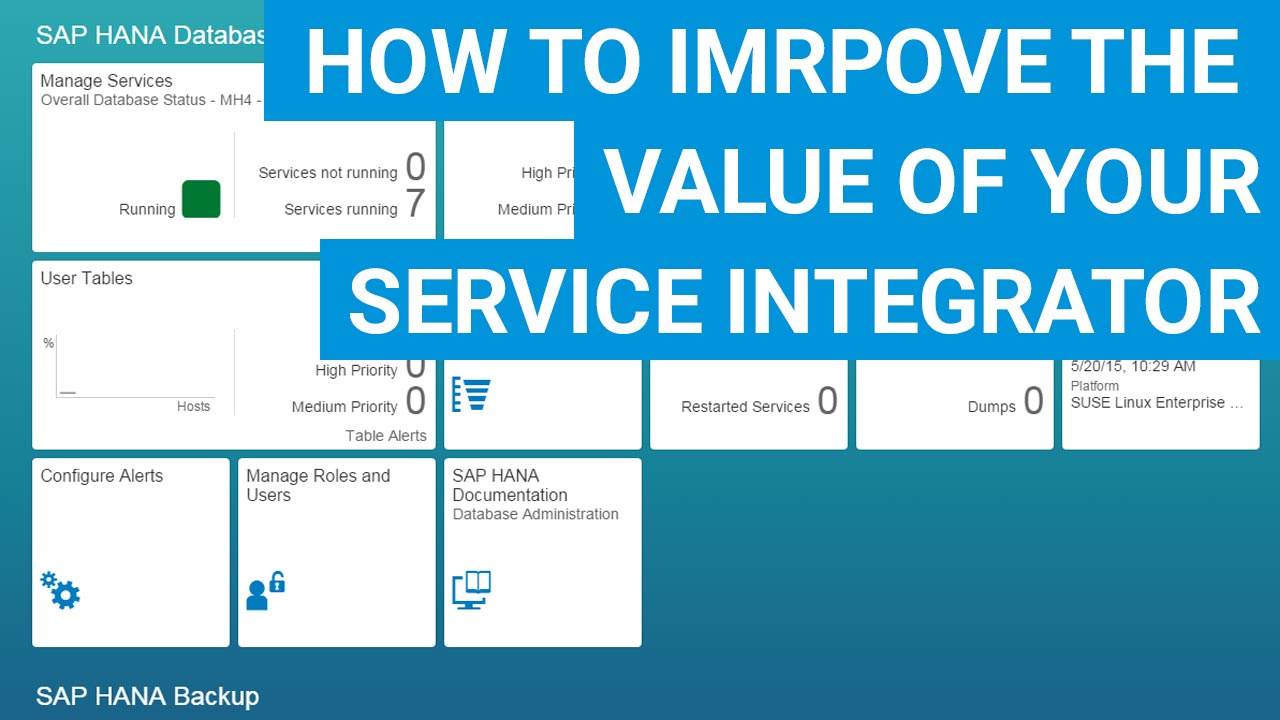 SAP Workshop: Improve the value of your Service Integrator