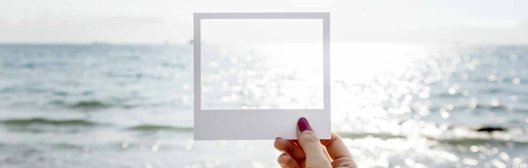 What Is SAP Focused Build And How To Get Started?