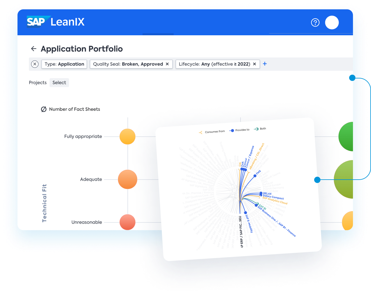 sap leanix application
